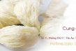Yến sào Bình Dương 