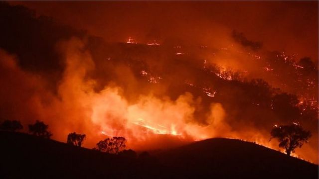 Úc: Cháy rừng thúc đẩy tranh luận chính trị về biến đổi khí hậu - BBC News