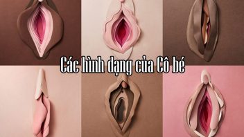 Các hình dạng của cô bé, Cô Bé như thế nào là đẹp, môi cô bé như thế nào là đẹp, hình dạng cô bé, những hình dạng của cô bé