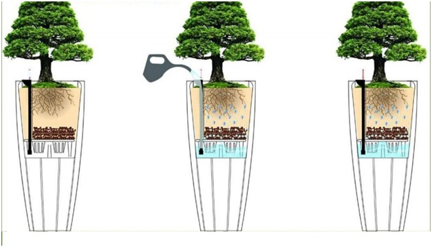 Cách tưới nước cho cây khi vắng nhà | Nông nghiệp phố