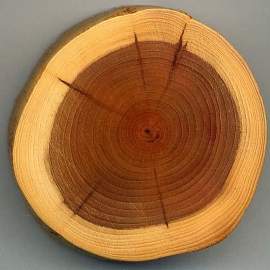 gỗ gụ làm bàn thờ có tốt không? gỗ gụ là gỗ gì?