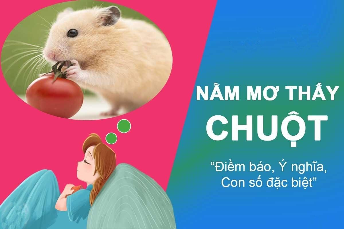 Nằm mơ thấy chuột nên đánh số gì? Điềm báo mơ thấy chuột