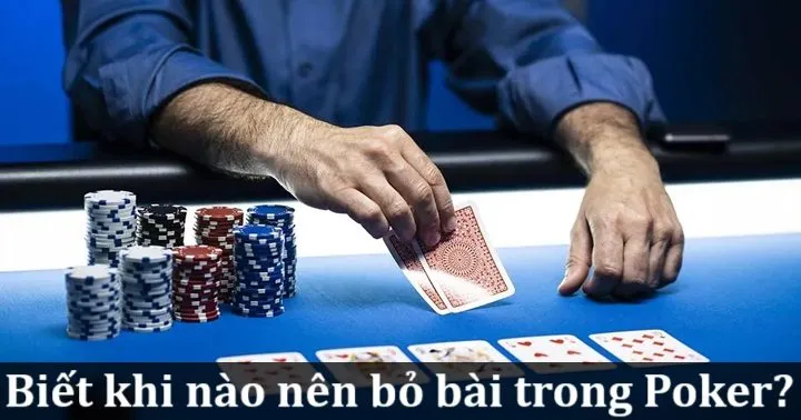 Biết khi nào nên bỏ bài Poker giúp giảm thiểu tổn thất