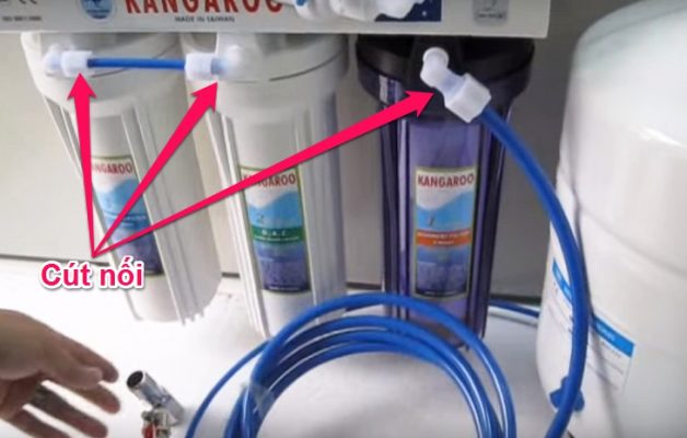 May Lộc Nước Bi Ri Nước Nguyễn Nhân Và Con Đường Thành Công 4