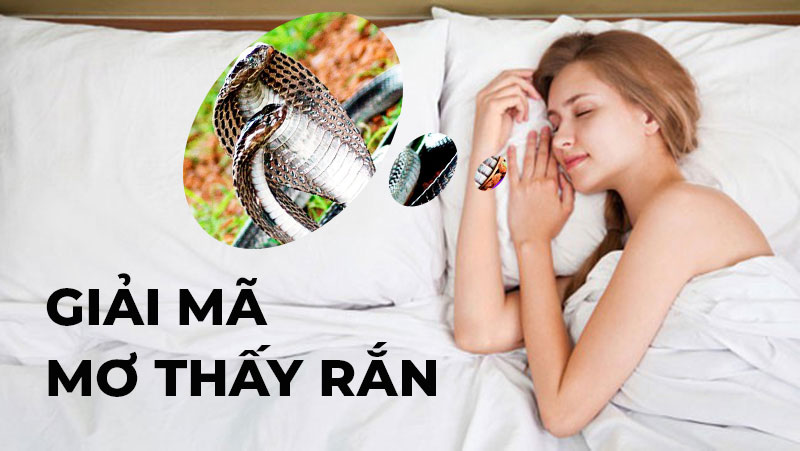 Giải mã giấc mơ thấy rắn