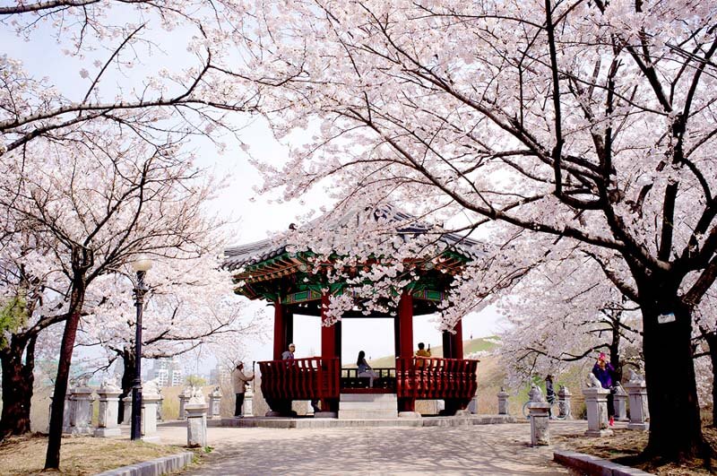 Top 6 công ty du lịch chuyên tour Hàn Quốc uy tín