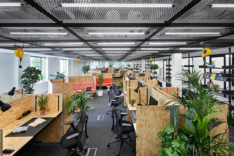 Thiết kế văn phòng xanh trở thành xu hướng hiện nay