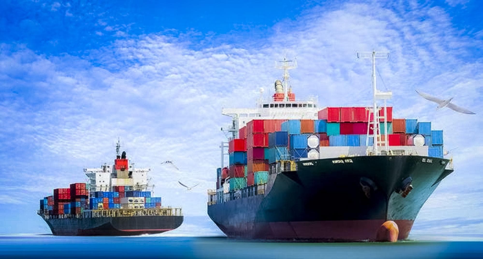 Hàng hóa vận chuyển đường biển thường rất đa dạng