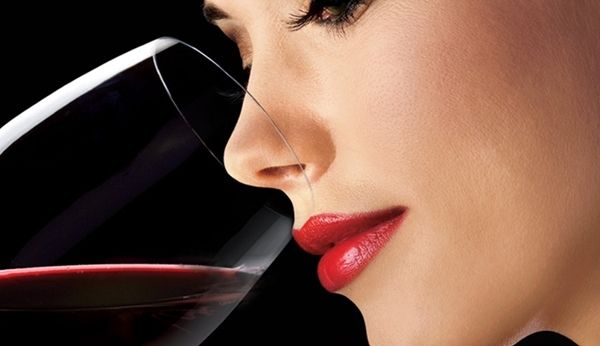 Quy tắc cơ bản khi thưởng thức rượu vang - winecellar