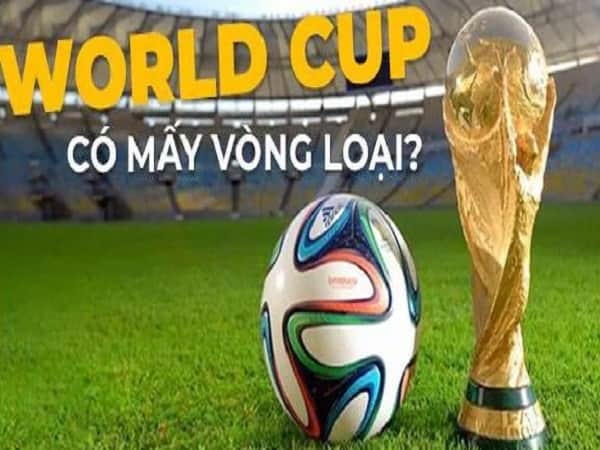 World Cup có bao nhiêu vòng loại? Cuộc thi diễn ra như thế nào?