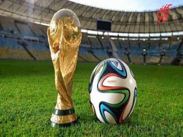 World Cup có bao nhiêu vòng loại? Cuộc thi diễn ra như thế nào?